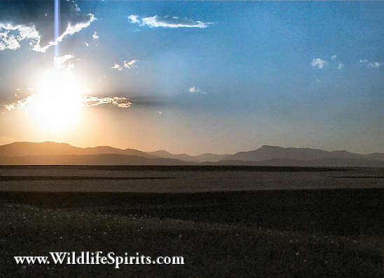 Click Picture to send as an  E-PostCard 51k 548x396